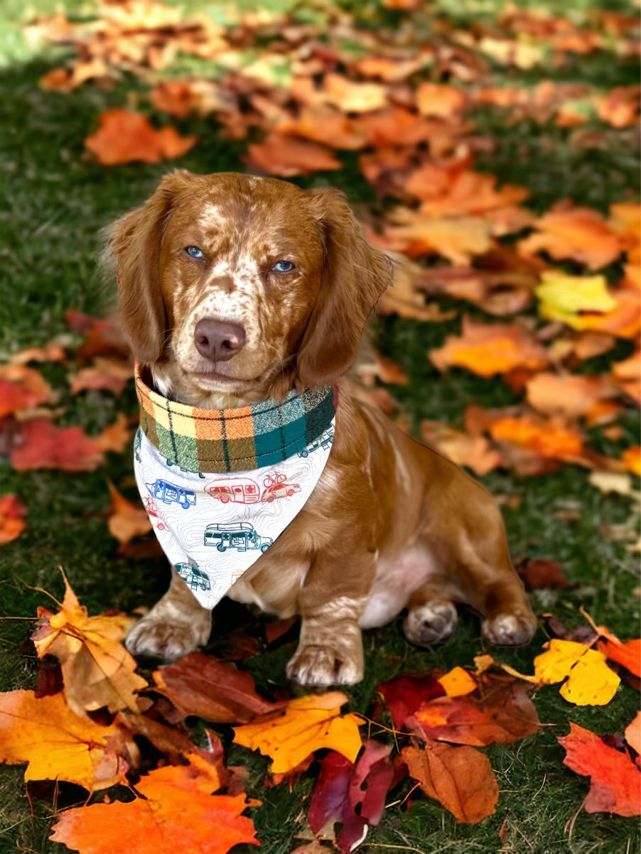 Retro Car Camping Bandana